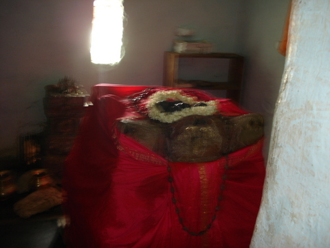 RAghunatha Tirtharu, Malakherda (UM) RAghunatha Tirtharu, Malakherda (UM)